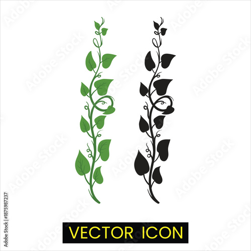 Green and black vine plant with leaves icon vector