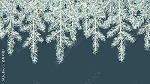 Winter border decoration made of blue spruce or pine tree branches against a dark teal background for holidays.