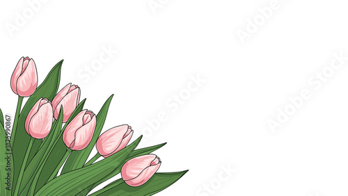 Beautiful corner arrangement of pink tulips with green leaves on a clean white background for spring designs.