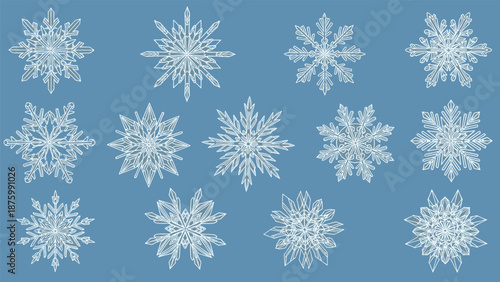 Collection of intricate white snowflakes with various geometric patterns displayed on a solid blue background for winter themes.