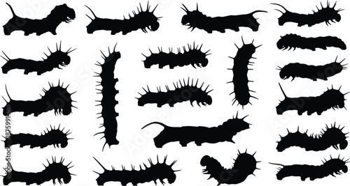 Collection of caterpillar silhouettes flat vector with spiky larvae insects bug shapes set for nature wildlife and garden biological design