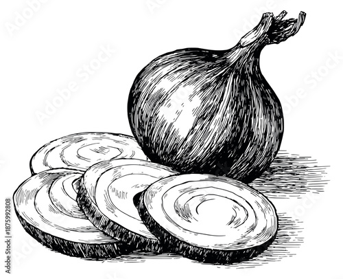 Hand drawn line art onion set featuring a whole onion and sliced rings for cooking and food preparation