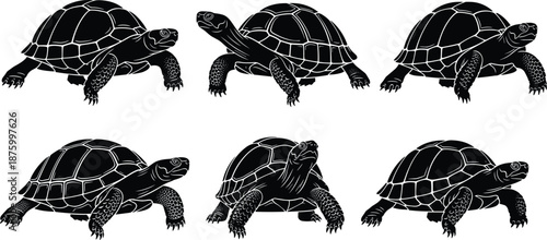 Giant Tortoises Silhouettes Vector Set, Detailed Drawings of Land Turtles with Textured Shells, Black Monochrome Reptile Collection for Wildlife, Nature, and Longevity Design, 