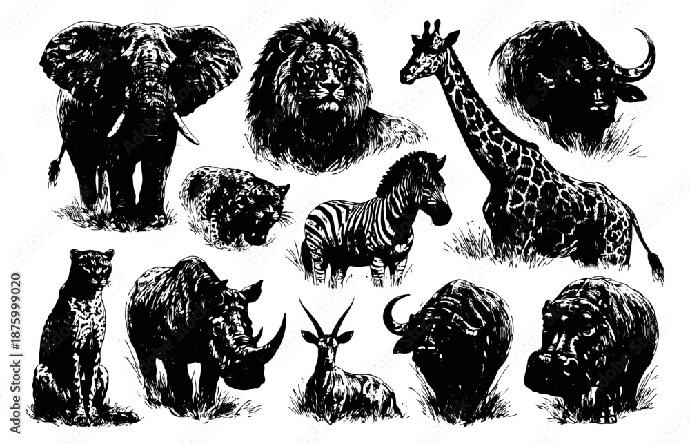 Fototapeta premium Hand drawn safari animals set featuring an elephant, lion, giraffe, and rhino for wildlife design projects