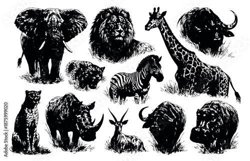Hand drawn safari animals set featuring an elephant, lion, giraffe, and rhino for wildlife design projects