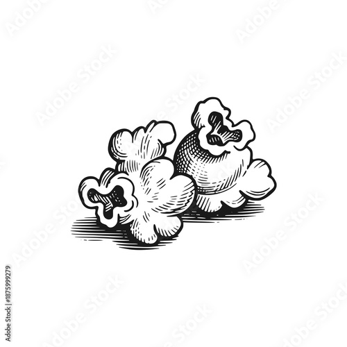 Leftover popcorn that fell. Black white vector illustration.