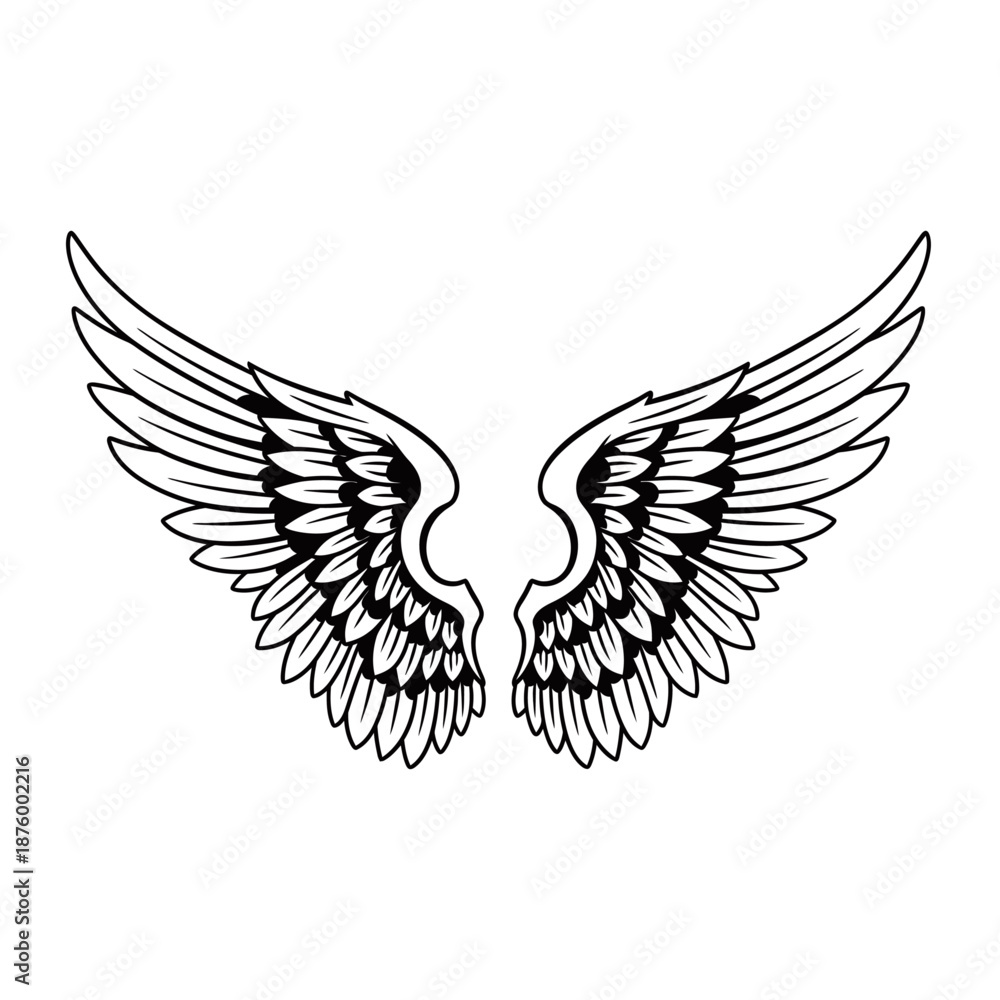 Fototapeta premium Detailed black and white illustration of symmetrical angel wings with intricate feather patterns, spread wide.
