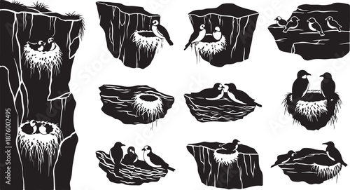 Black and white illustration of birds in cliff nests