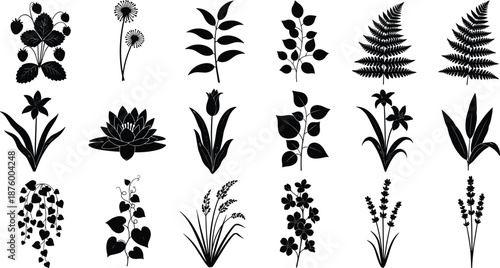 “Detailed botanical vector illustration set featuring diverse plant silhouettes, floral elements, leaves, and nature-inspired decorative designs ideal for creative projects, patterns