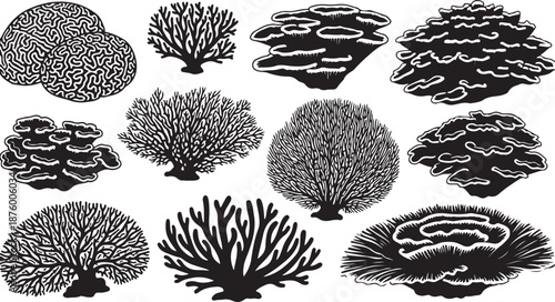 Black and white coral reef illustrations set on white