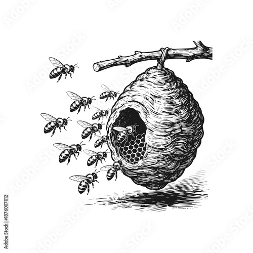Bees building their nest. Black white vector illustration.