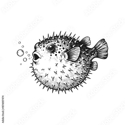 A pufferfish that expands and bubbles come out of its mouth. Black white vector illustration.