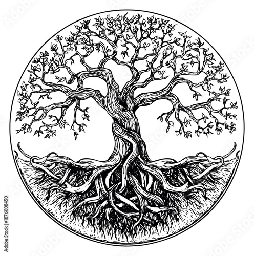 Hand drawn line art illustration of the Tree of Life depicting intricate roots and branches within a circular frame for spiritual and mythological designs