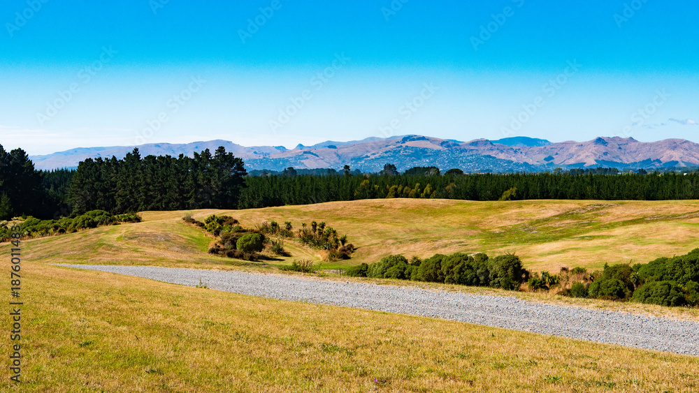 Fototapeta premium beutiful landscape green rolling hills blue sky scenery idyllic new zealand