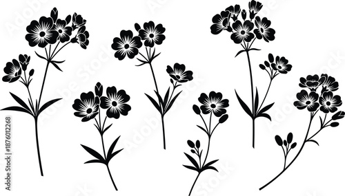 Black vector silhouettes of wildflowers, elegant flower branch collection, botanical garden plants isolated on white background, decorative floral nature elements. (20 words)