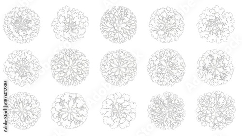 Collection of stylized floral illustrations with detailed petal patterns