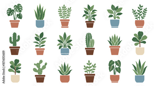 Diverse collection of eighteen different potted houseplants, including succulents and cacti, rendered in a simple, modern flat vector illustration style with earthy colors