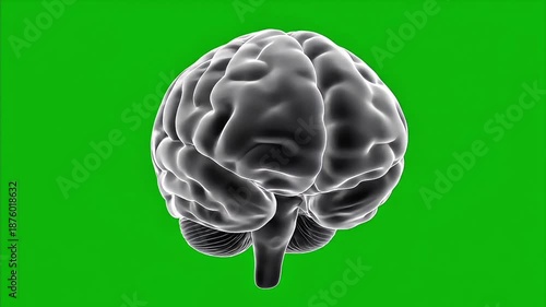 High-contrast grayscale illustration of a human brain on a green and white background.