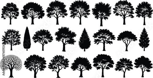 Set of black tree silhouettes featuring various deciduous and evergreen species isolated on white background for nature and landscape design