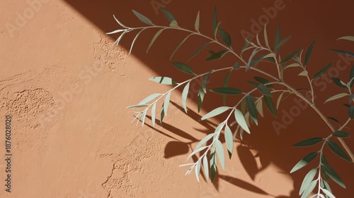 Olive Branch Gently Swaying Against Textured Wall