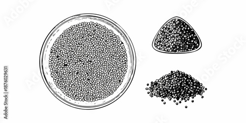Vintage illustration of black peppercorns in different arrangements and containers