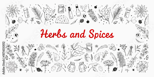 A decorative illustration featuring various herbs spices and botanical elements