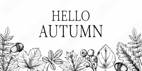 Hello autumn a botanical illustration with leaves acorns and elegant typography
