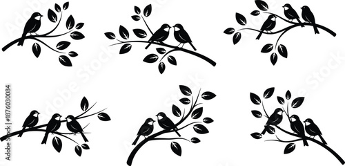 Bird couple silhouettes perched on leafy branches collection, black vector illustration set isolated on white background for romance, wildlife, nature, decorative design