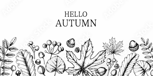 Hello autumn a hand drawn botanical illustration with leaves and berries