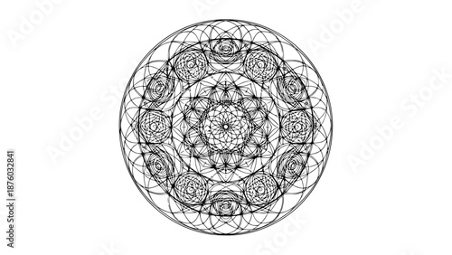 black luxury floral ornament vector