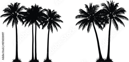 Power line pole silhouettes with flying bird flock isolated on white background, black utility electricity vector illustration for urban infrastructure, energy concept, minimal design