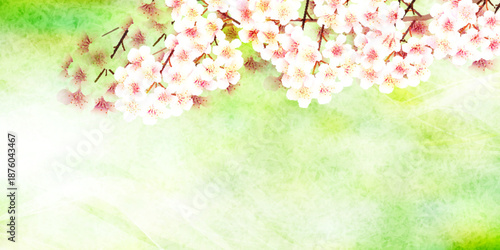 桜　和柄　水彩　背景