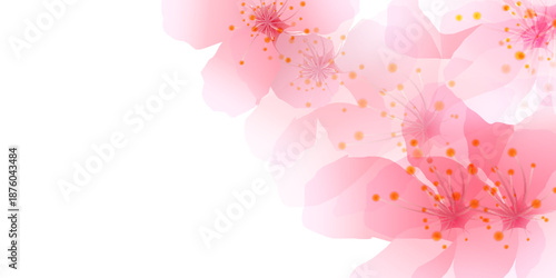 桜　和柄　水彩　背景