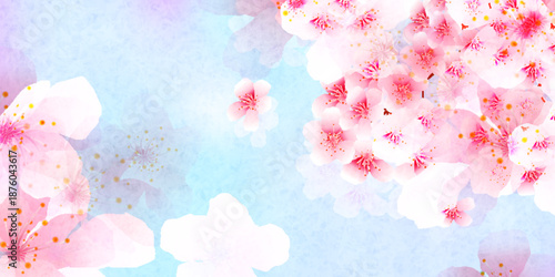 桜　和柄　水彩　背景