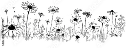 Eine transparente Illustration von Gänseblümchen und Gräsern in einem skizzenhaften Stil für Designzwecke.