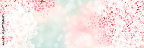 桜　和柄　水彩　背景