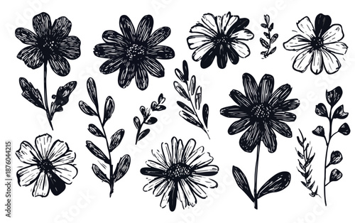 Handgezeichnete schwarze Blumen und Blätter auf transparentem Hintergrund, Skizzenstil.