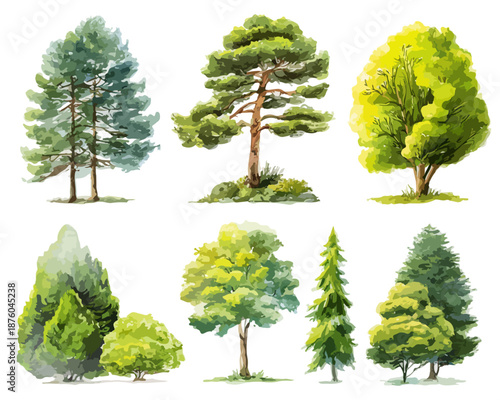 Sechs verschiedene Baumillustrationen in Aquarelltechnik mit transparentem Hintergrund, ideal für Designs.