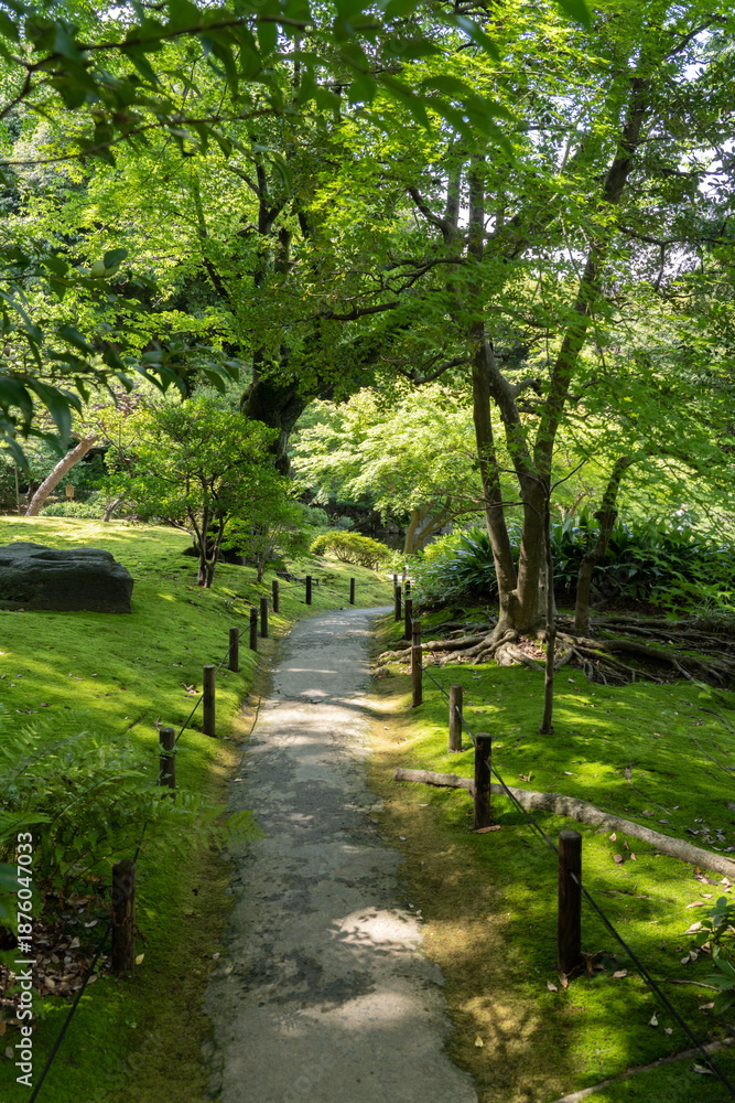 Obraz premium 初夏の旧古河庭園の日本庭園