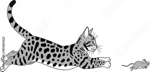 Playful spotted bengal cat jumping and pouncing to catch a small grey mouse on white background vector illustration.