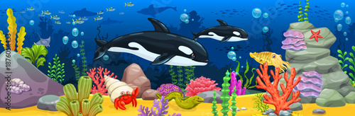 Cartoon killer whale animals, seaweeds and coral reefs ocean underwater landscape with sea orca animals. Vector cartoon seafloor with killer whale predators, crab, starfish, moray eel and cuttlefish