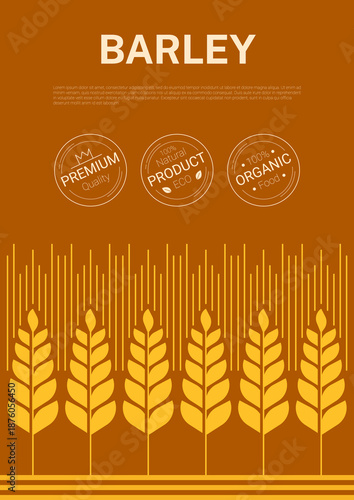 Modern cereal barley grains agriculture cover. Vector eco friendly labels of premium quality, 100 percent natural product, organic food for farm branding, cereal packaging and healthy nutrition