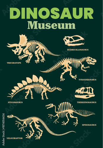 Dinosaur skeleton fossil or dino bones museum board. Triceratops, stegosaurus and velociraptor, tyrannosaurus, spinosaurus and therizinosaurus skeletons, skulls of dudreuillosaurus and therizinosaurus