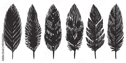 다양한 질감과 패턴을 가진 깃털 6개의 흑백 일러스트