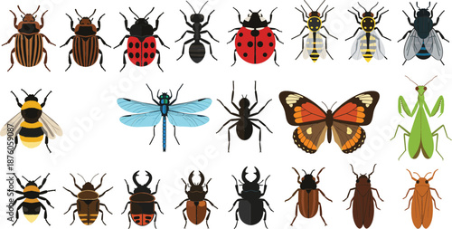 Collection of flat insect and bug vector illustrations featuring butterfly ladybug bee ant dragonfly praying mantis and various beetles for nature education