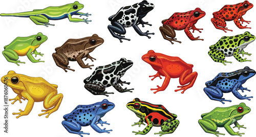 Colorful poison dart frog collection vector illustration set with various species of tropical exotic amphibians for educational biology posters and wildlife designs