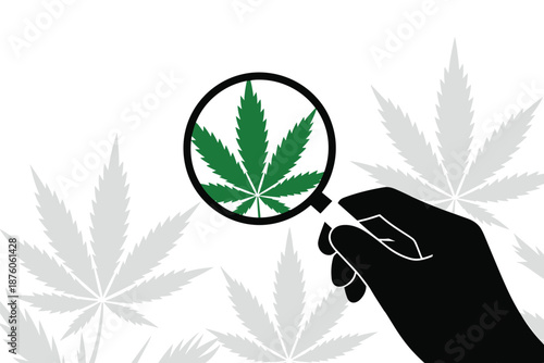 Cannabis Leaf Under Magnifying Glass Research and Discovery, medical research concept