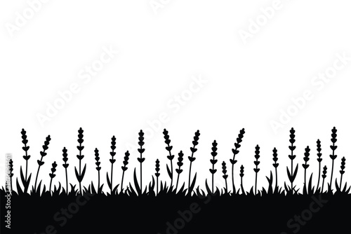 Lavender Flowers Silhouette Border, botanical decorative concept