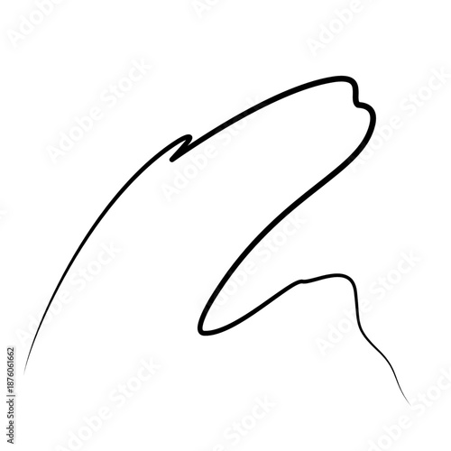 vector illustration of a silhouette of a fish