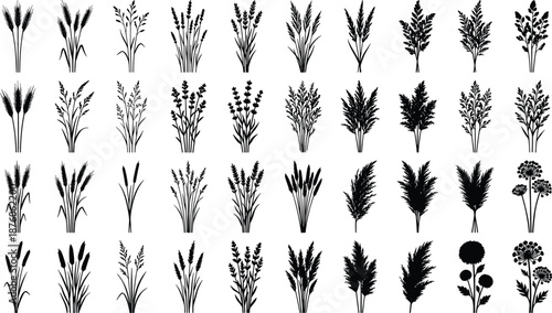 Black silhouette set of meadow grass, wild flowers, garden shrubs, forest ferns, and wetland reeds for professional landscape design projects.
